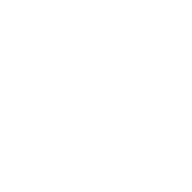 altacom-logo-bianco